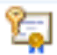 Certificate icon with the gold key indicating that the certificate contains a private key