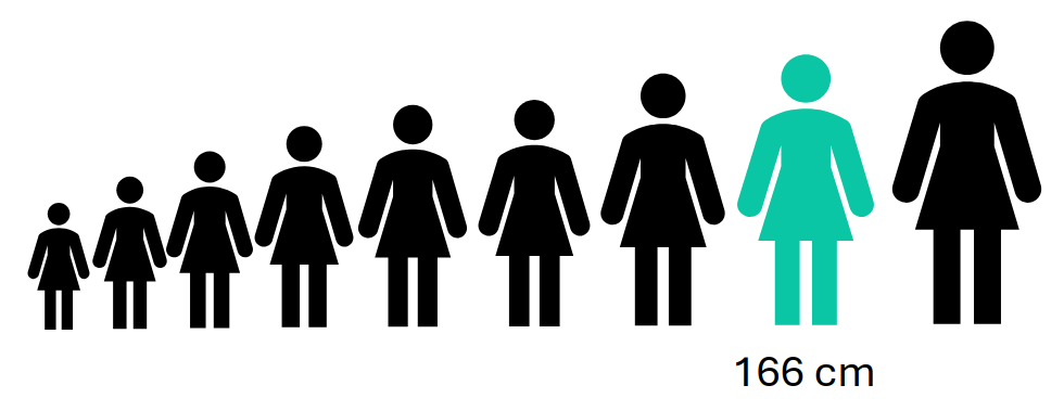 Graphic showing female icons, sorted by height, with the 75th percentile highlighted at 166cm.